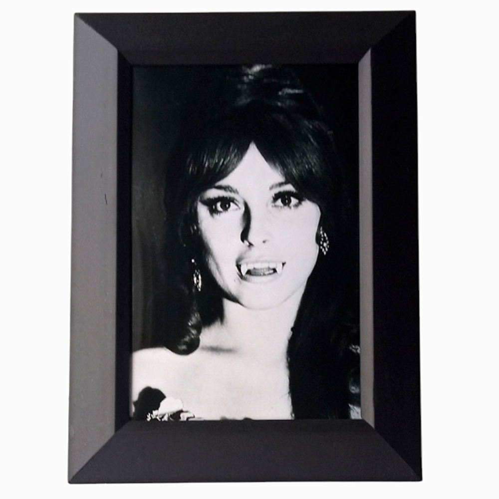 Sharon Tate Vampire Killer retro vintage movie horror vintage vampires 6…